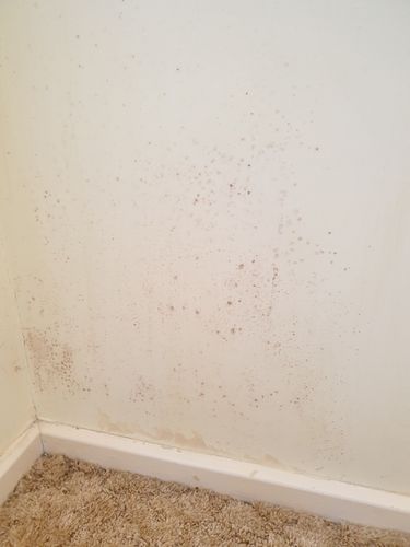 20210109_130406.jpg 20210109_130406.jpg