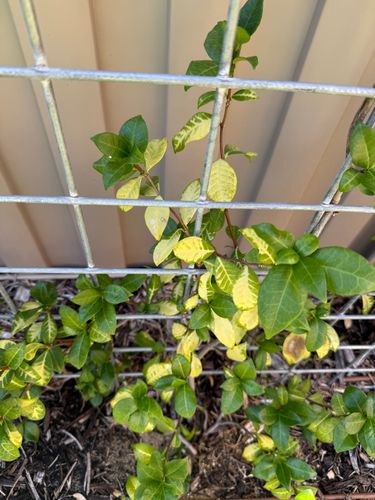 IMG_4435.jpeg IMG_4435.jpeg