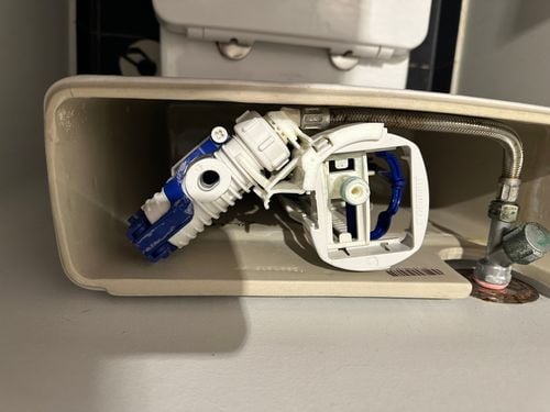 IMG_1587.jpeg IMG_1587.jpeg