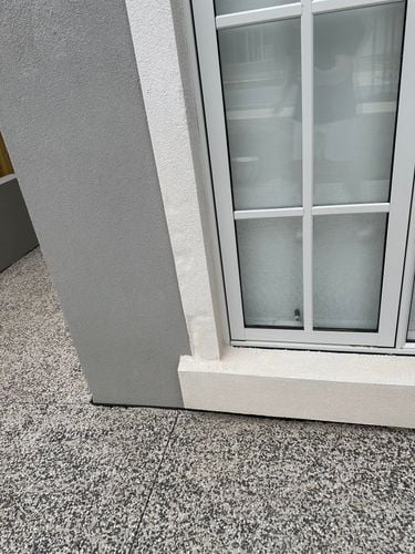 IMG_7939.jpeg IMG_7939.jpeg