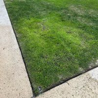 7.8 After filling lawn patches.jpeg 7.8 After filling lawn patches.jpeg