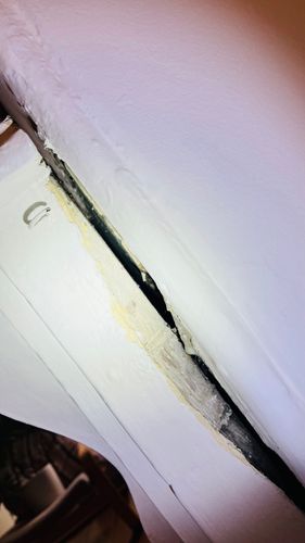 IMG_7291.jpeg IMG_7291.jpeg