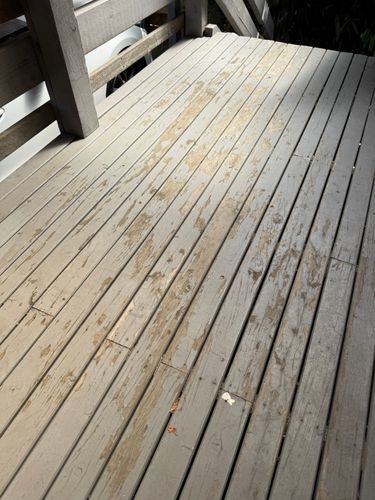 IMG_1381.jpeg IMG_1381.jpeg