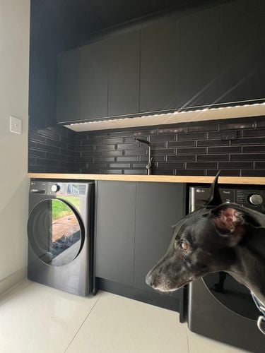 IMG_4228.jpeg IMG_4228.jpeg