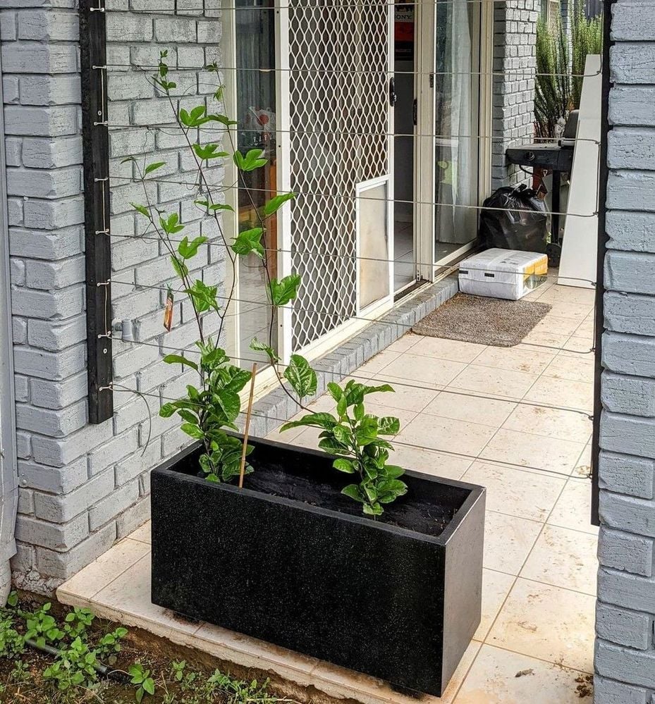 Wire 1.2.jpg Wire 1.2.jpg