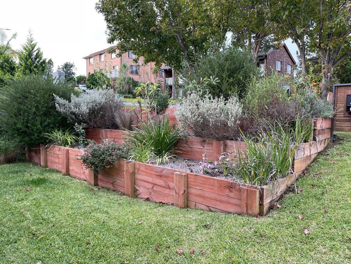 IMG_2923.jpeg IMG_2923.jpeg