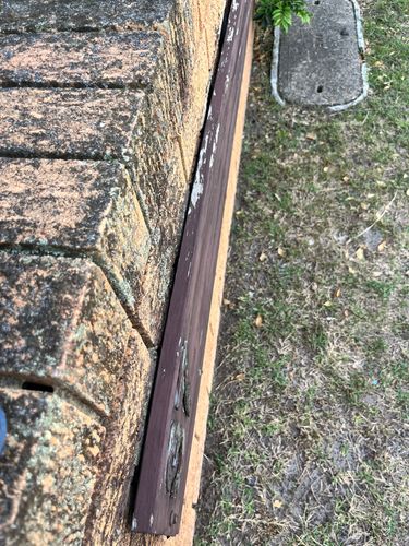 IMG_4465.jpeg IMG_4465.jpeg