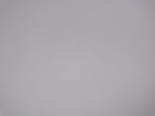 IMG_20200408_154603.jpg IMG_20200408_154603.jpg