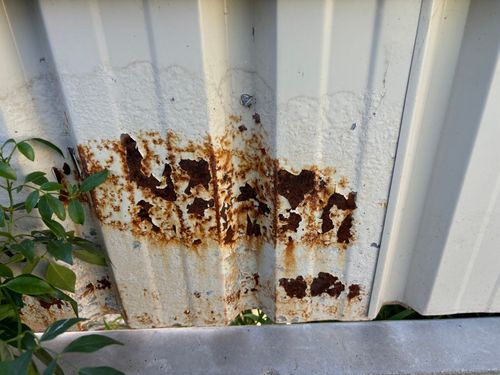 IMG_0536.jpeg IMG_0536.jpeg