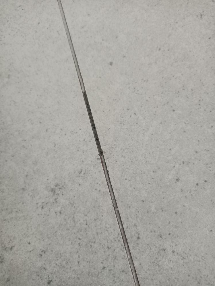 IMG20250331114846.jpg IMG20250331114846.jpg