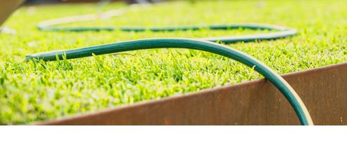 IMG_4099.jpeg IMG_4099.jpeg