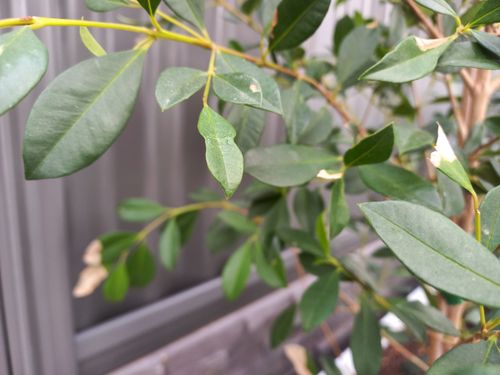 20250406_095730.jpg 20250406_095730.jpg