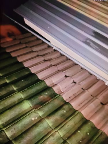 20240812_212357.jpg 20240812_212357.jpg