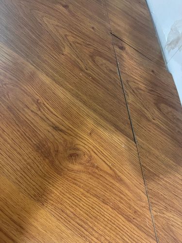 IMG_1768.jpeg IMG_1768.jpeg