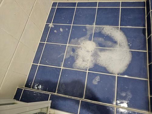 1000013277.jpg 1000013277.jpg