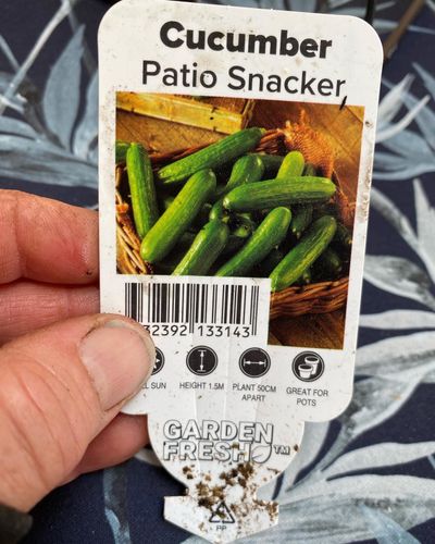 9872703C-4451-433C-BB5E-6F855C33E1E6.jpeg 9872703C-4451-433C-BB5E-6F855C33E1E6.jpeg