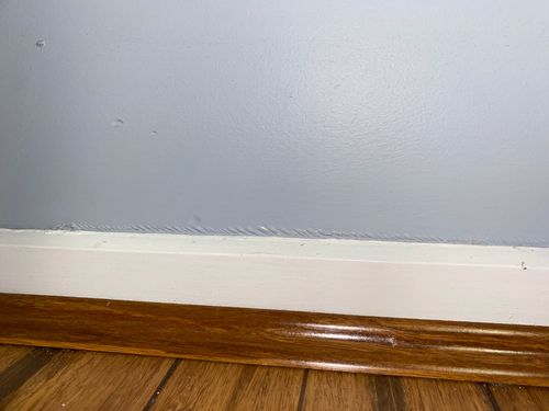 IMG_2673.jpeg IMG_2673.jpeg