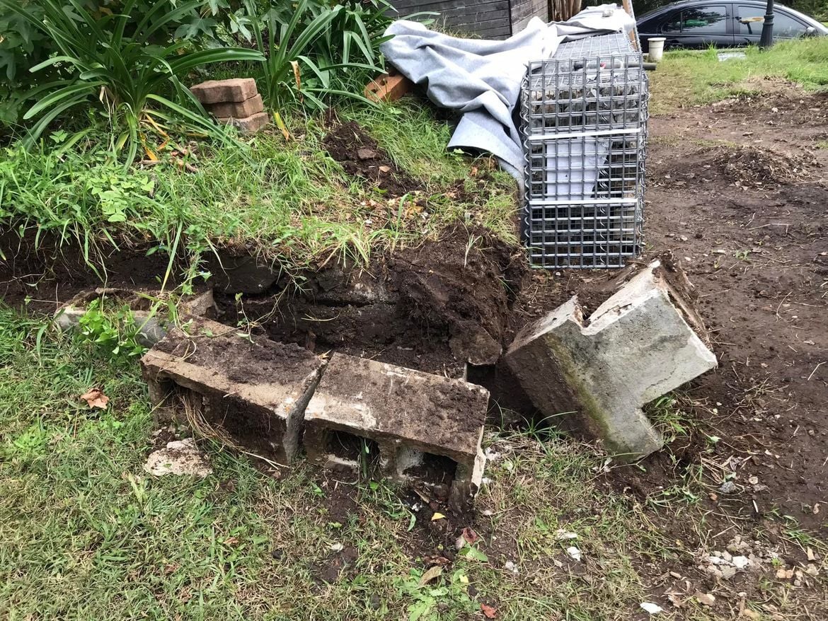 04 24-02-2022.jpg 04 24-02-2022.jpg