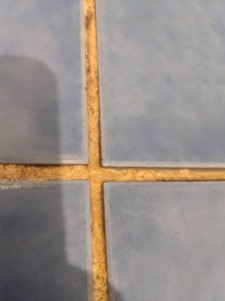 319193433_820267565720812_3655694844598720656_n.jpg 319193433_820267565720812_3655694844598720656_n.jpg