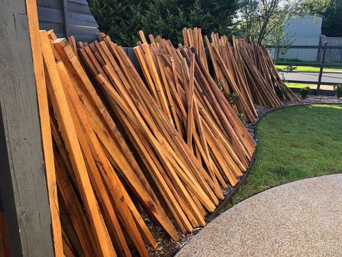 IMG_9408.jpeg IMG_9408.jpeg