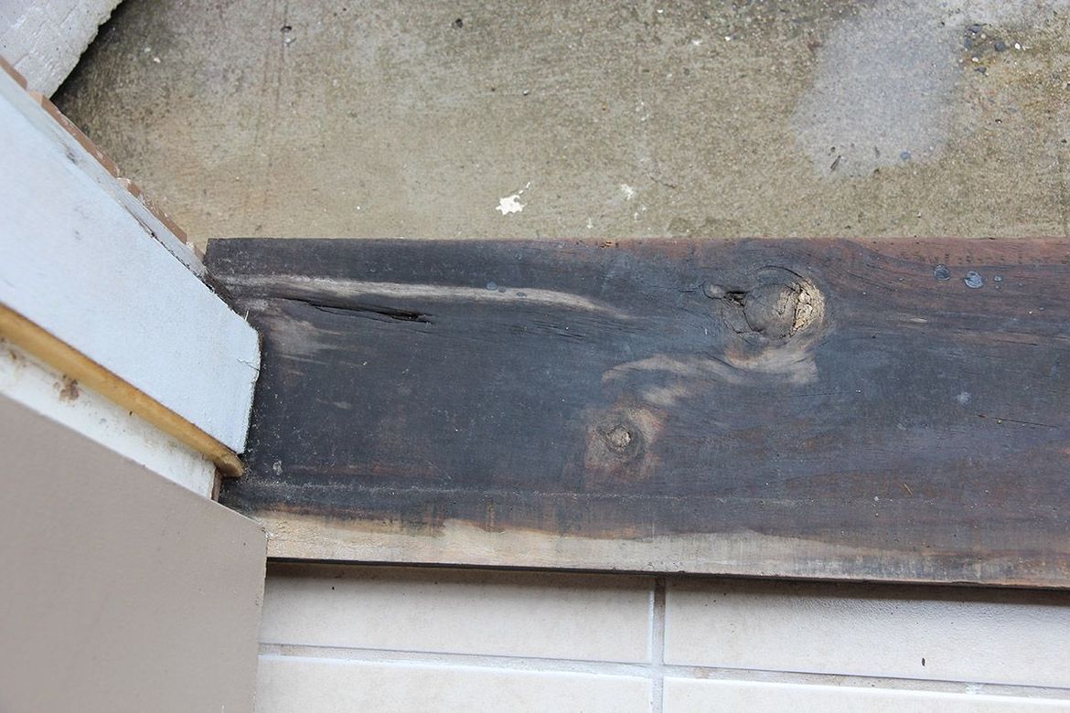 IMG_4105_1.jpg IMG_4105_1.jpg