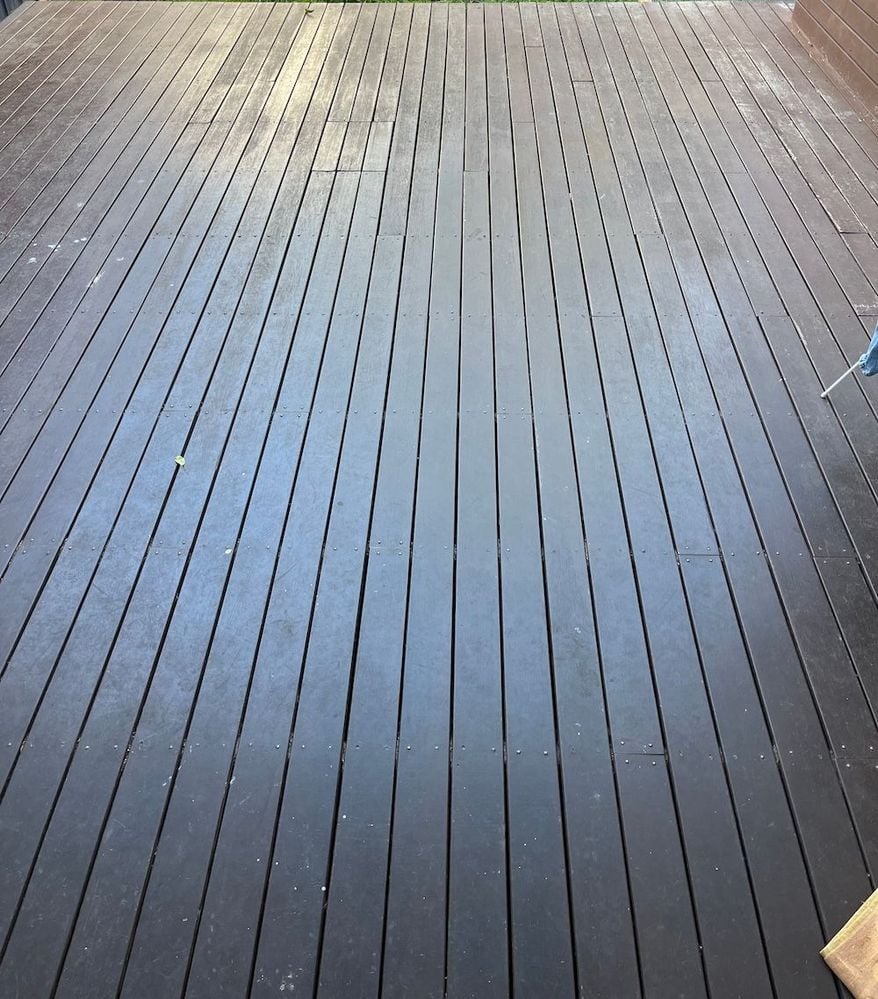 IMG_3590.JPG IMG_3590.JPG