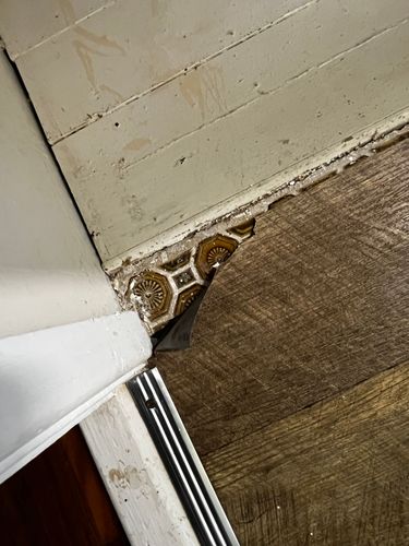 IMG_6669.jpeg IMG_6669.jpeg