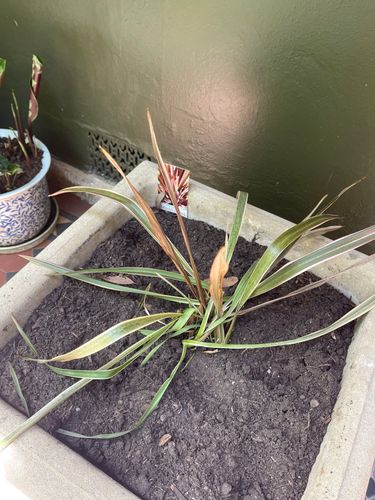 IMG_8838.jpeg IMG_8838.jpeg