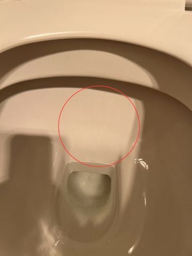 IMG_0893.jpeg IMG_0893.jpeg