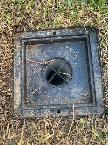 IMG_2914.jpeg IMG_2914.jpeg