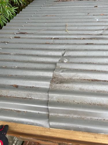 1C25C1CE-22A7-45F9-8CBD-E7E7CCFF408B.jpeg 1C25C1CE-22A7-45F9-8CBD-E7E7CCFF408B.jpeg