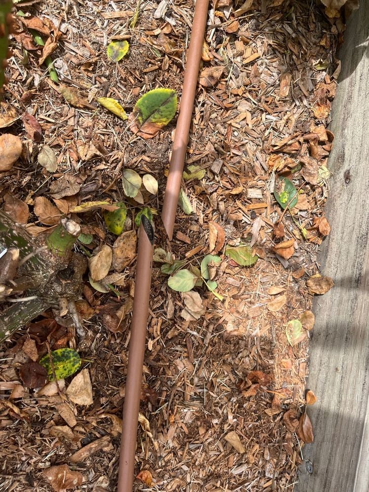 IMG_2003.jpg IMG_2003.jpg