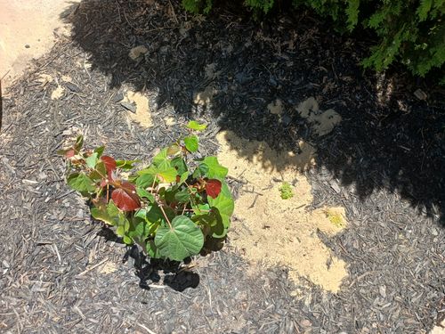 1000001689.jpg 1000001689.jpg