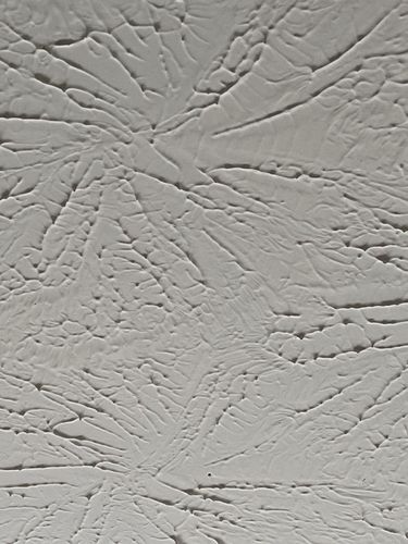 IMG_7033.jpeg IMG_7033.jpeg