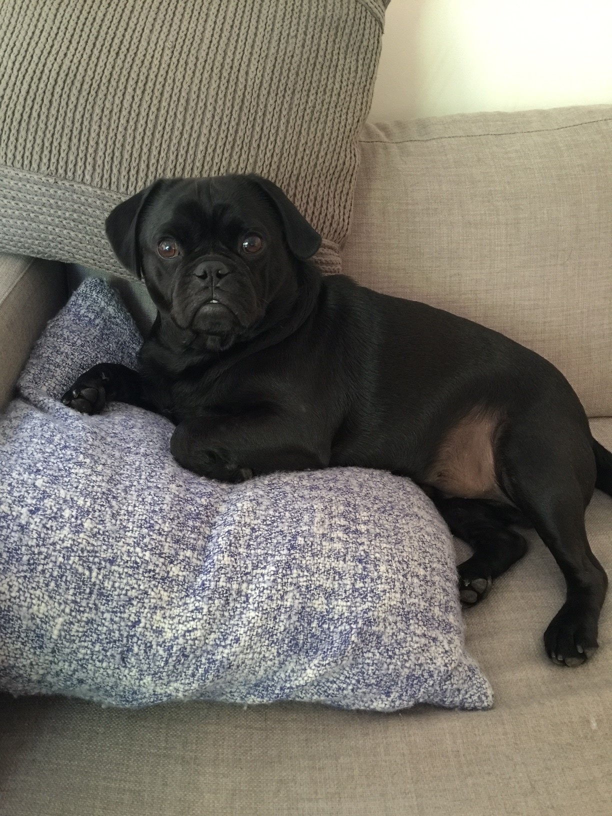 IMG_7339.JPG IMG_7339.JPG