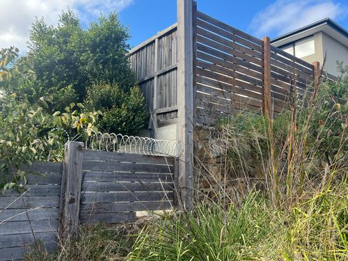 IMG_9576.jpeg IMG_9576.jpeg