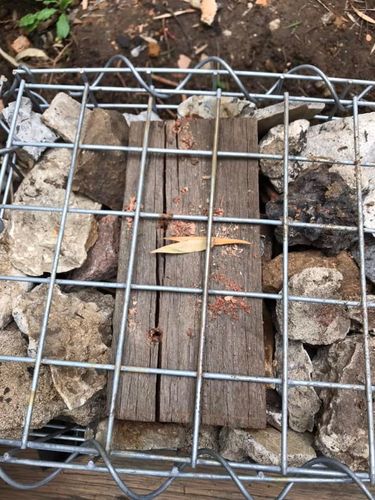 148 05-10-2024.jpg 148 05-10-2024.jpg