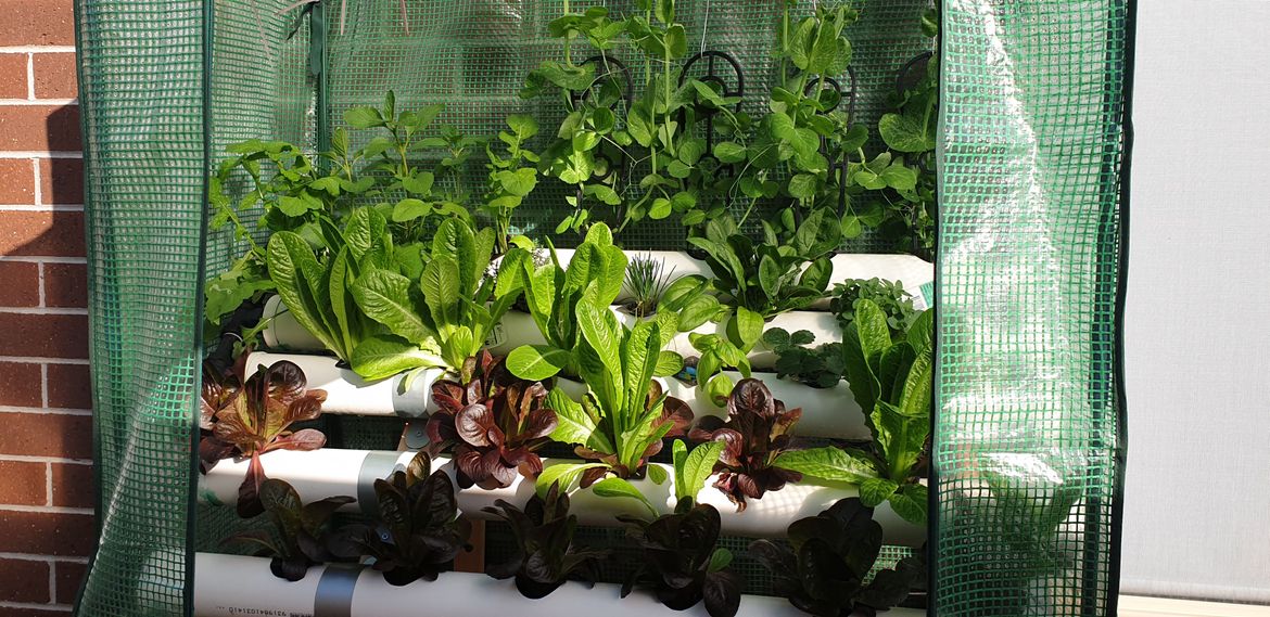 20200608_143417.jpg 20200608_143417.jpg