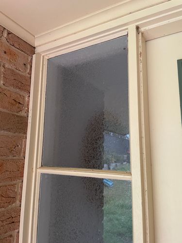 IMG_3077.jpeg IMG_3077.jpeg