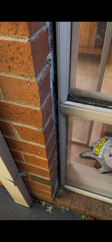 IMG_5695.png IMG_5695.png