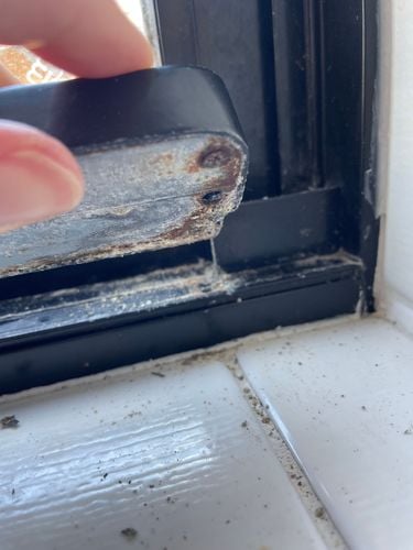 window 2.JPG window 2.JPG