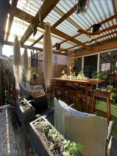 IMG_3241.jpeg IMG_3241.jpeg