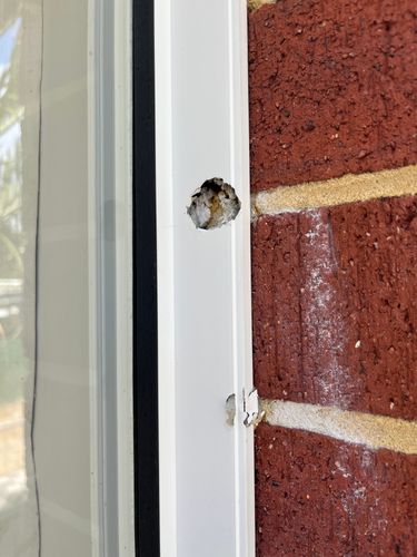 155AB9A4-2953-4A0E-A2D8-24513096BE85.jpeg 155AB9A4-2953-4A0E-A2D8-24513096BE85.jpeg