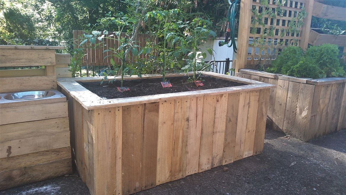 pallet raised garden bed.jpeg pallet raised garden bed.jpeg