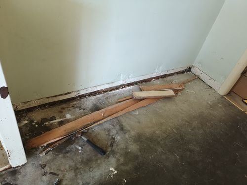 IMG_20221023_164801.jpg IMG_20221023_164801.jpg