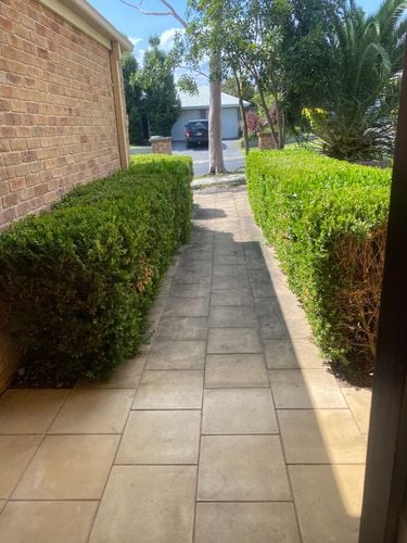 8610A8AD-8137-48C8-848F-53EE735A5EB5.jpeg 8610A8AD-8137-48C8-848F-53EE735A5EB5.jpeg