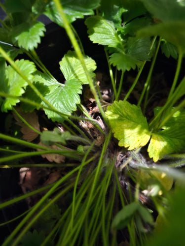 1000032322.jpg 1000032322.jpg