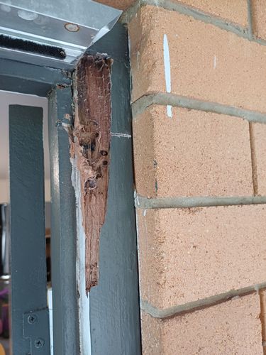 1000009466.jpg 1000009466.jpg