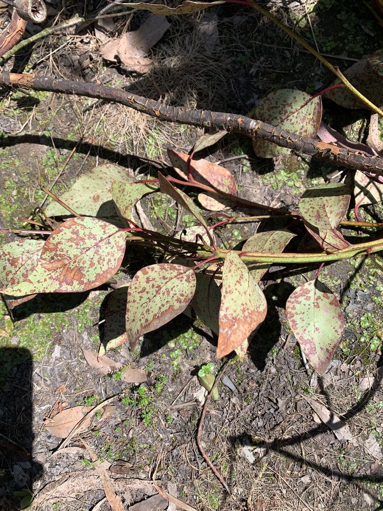 IMG_4329.JPG IMG_4329.JPG