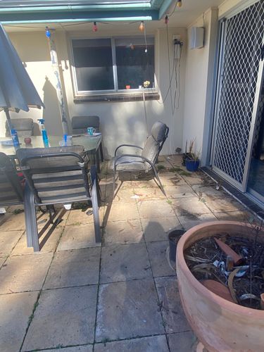 IMG_1239.jpeg IMG_1239.jpeg